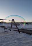 20230117_113338 (Large).jpg (363412 bytes)